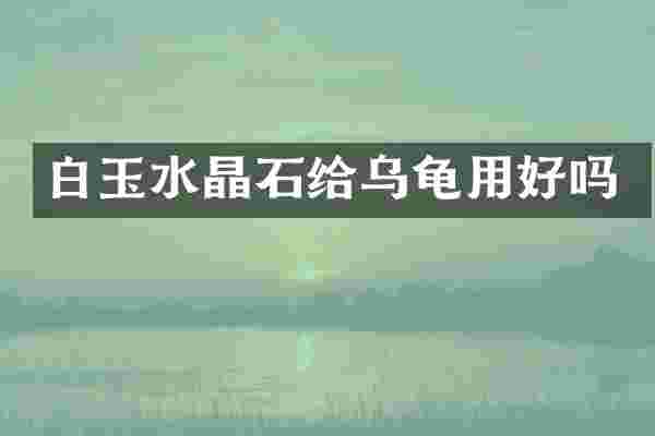 白玉水晶石给乌龟用好吗