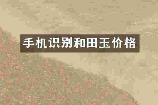 手机识别和田玉价格