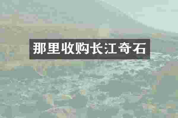 那里收购长江奇石