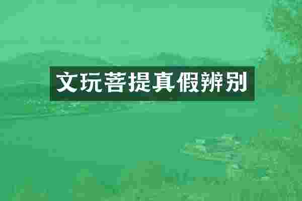 文玩菩提真假辨别