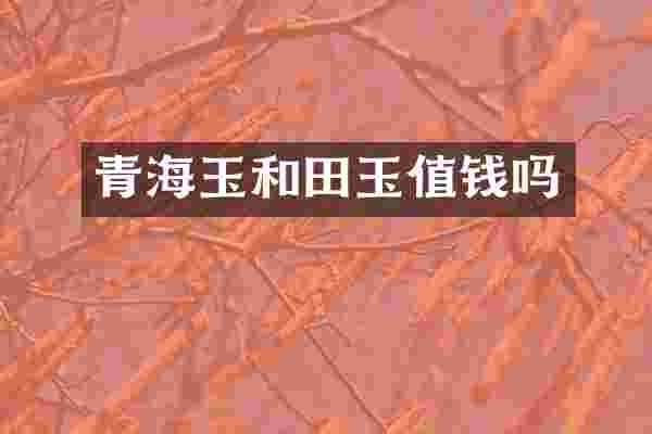 青海玉和田玉值钱吗