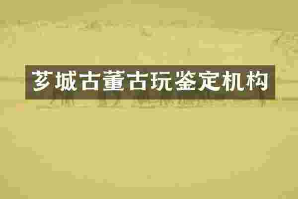 芗城古董古玩鉴定机构