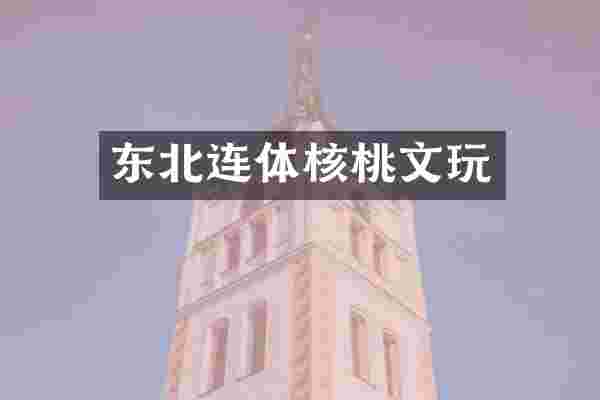 东北连体核桃文玩