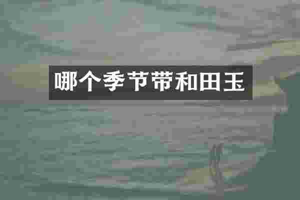 哪个季节带和田玉