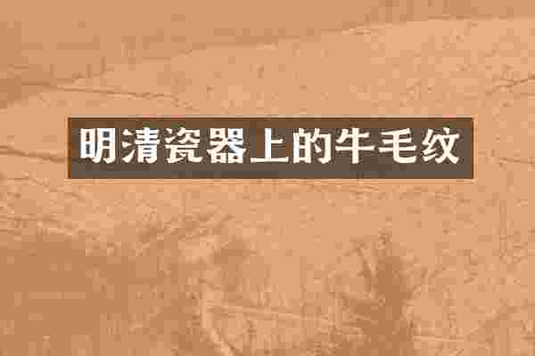 明清瓷器上的牛毛纹