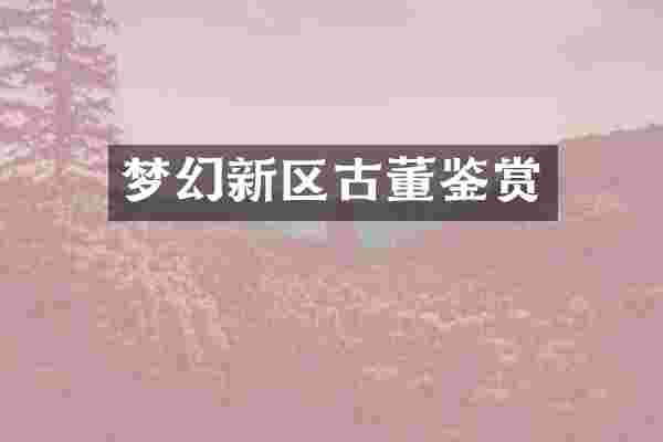 梦幻新区古董鉴赏