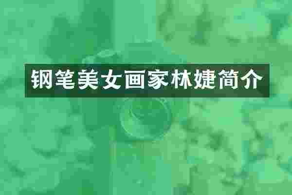 钢笔画家林婕简介