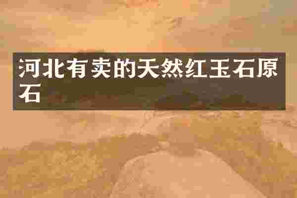 河北有卖的天然红玉石原石