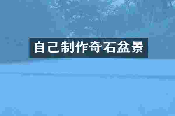 自己制作奇石盆景