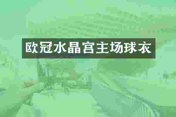 欧冠水晶宫主场球衣