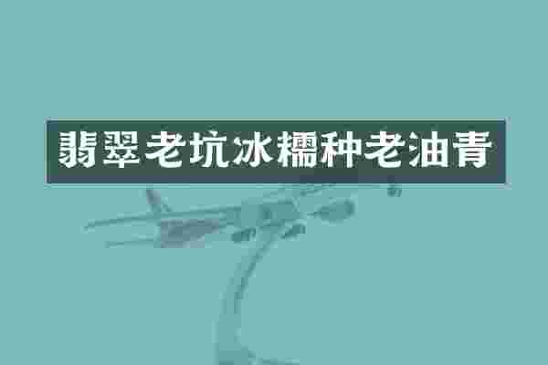 翡翠老坑冰糯种老油青