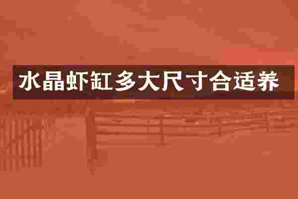 水晶虾缸多大尺寸合适养