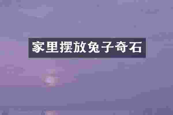 家里摆放兔子奇石