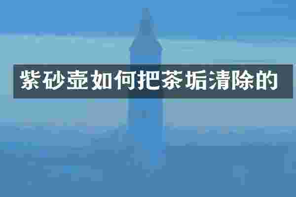 紫砂壶如何把茶垢清除的