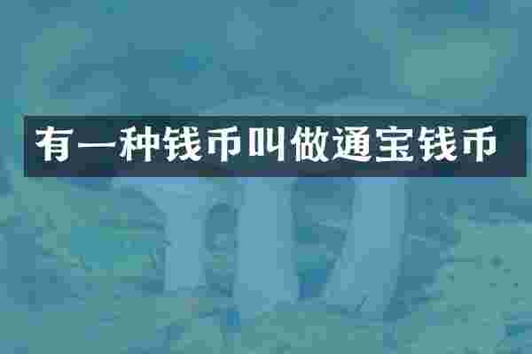 有一种钱币叫做通宝钱币