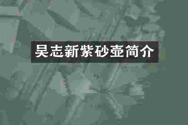 吴志新紫砂壶简介
