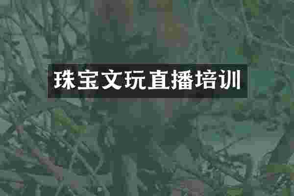 珠宝文玩直播培训