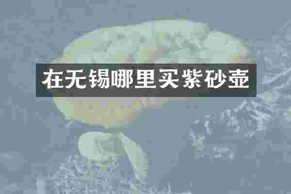 在无锡哪里买紫砂壶