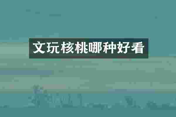 文玩核桃哪种好看