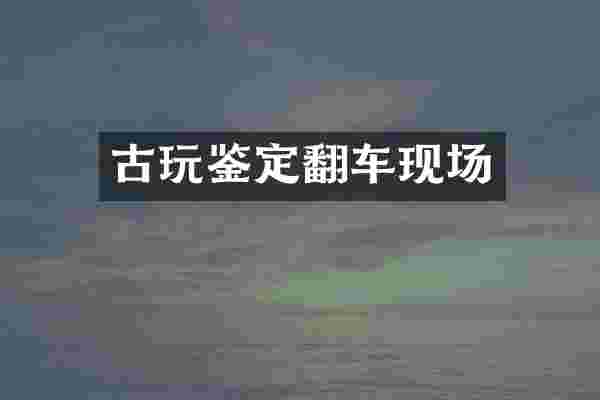 古玩鉴定翻车现场