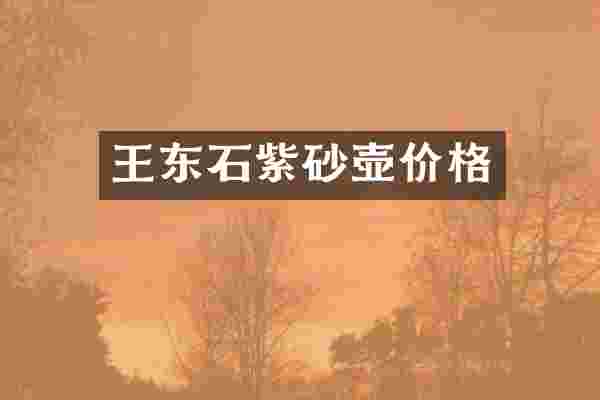王东石紫砂壶价格