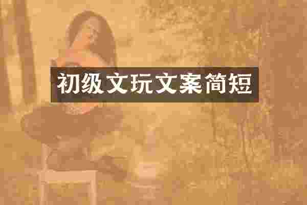 初级文玩文案简短