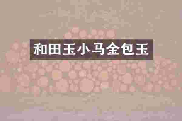 和田玉小马金包玉