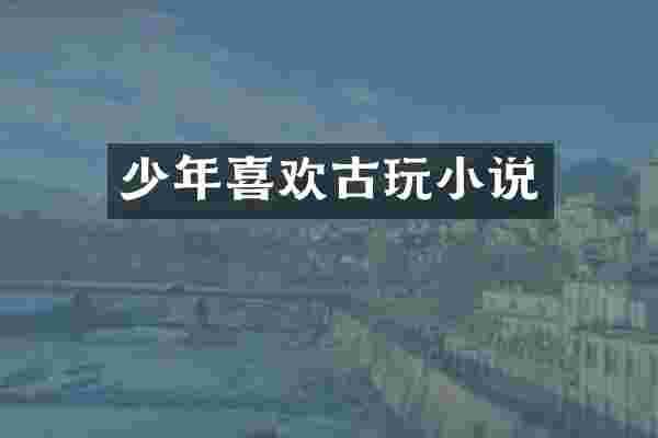 少年喜欢古玩小说