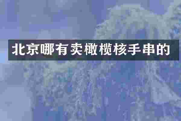 北京哪有卖橄榄核手串的
