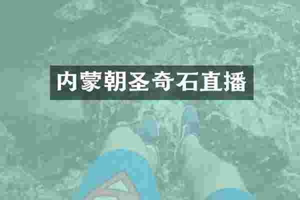 内蒙朝圣奇石直播