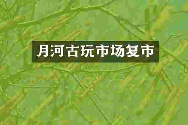 月河古玩市场复市