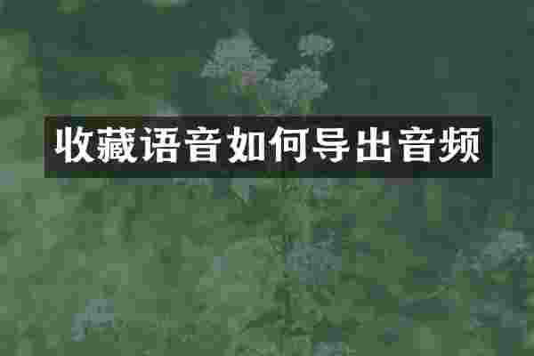 收藏语音如何导出音频
