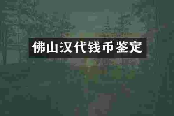 佛山汉代钱币鉴定