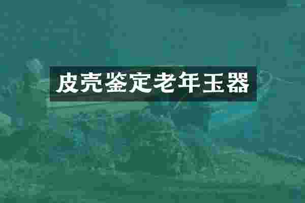 皮壳鉴定老年玉器