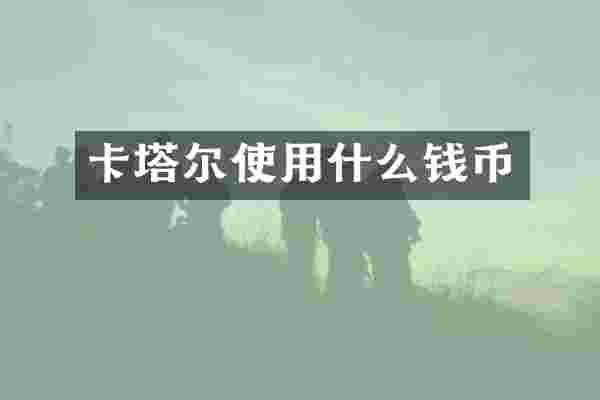 卡塔尔使用什么钱币