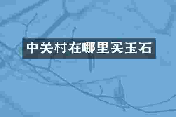 中关村在哪里买玉石