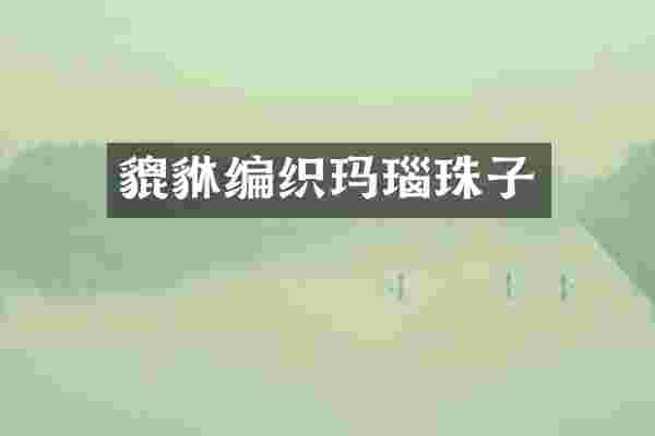 貔貅编织玛瑙珠子
