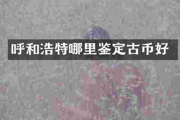 呼和浩特哪里鉴定古币好