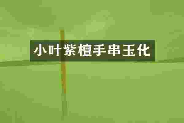 小叶紫檀手串玉化