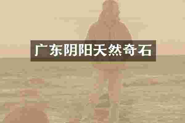广东阴阳天然奇石
