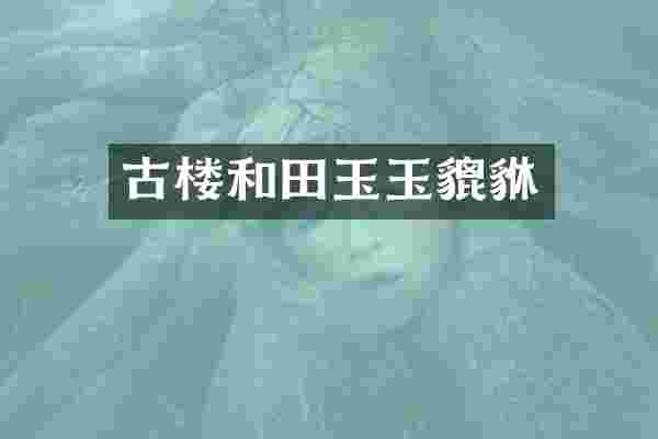 古楼和田玉玉貔貅