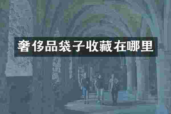 奢侈品袋子收藏在哪里