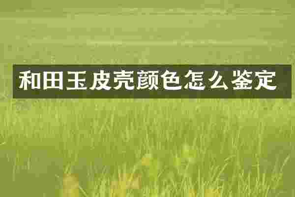 和田玉皮壳颜色怎么鉴定
