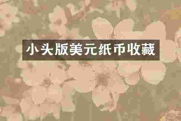 小头版美元纸币收藏