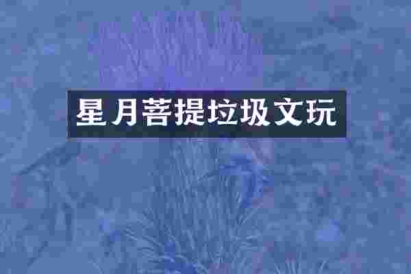 星月菩提垃圾文玩
