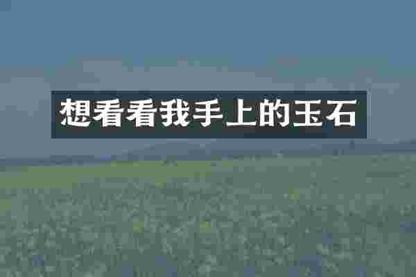 想看看我手上的玉石