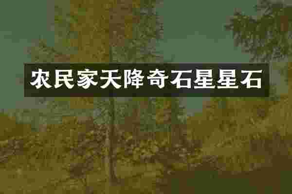 农民家天降奇石星星石