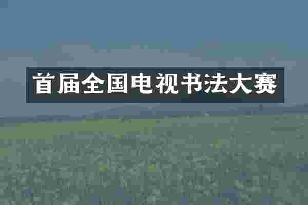 首届全国电视书法大赛