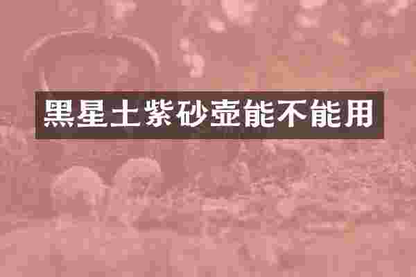 黑星土紫砂壶能不能用