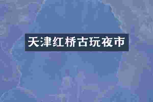 天津红桥古玩夜市